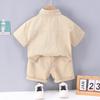Children's Boys Shirt Shorts 2Pcs/Sets Summer Baby Clothes Suit Infant Outfits Toddler Casual Cotton Costume Kids Tracksuits