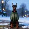 Large Dog Winter Coat Warm Pet Two-legged Jacket Soft Cotton Clothes Medium Dogs