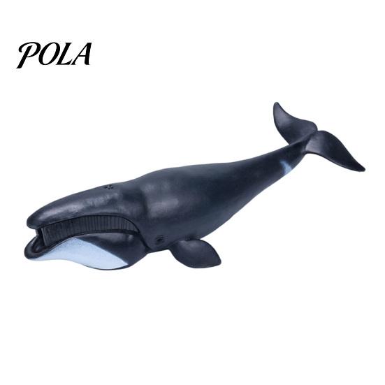 Sea Animal Educational Toy Simulated Marine Life Model, Realistic Whale Shark Dolphin Figurine, PVC Model for Toddlers Boys Girls