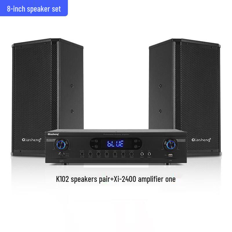 QIASHENG Conference Audio System Set