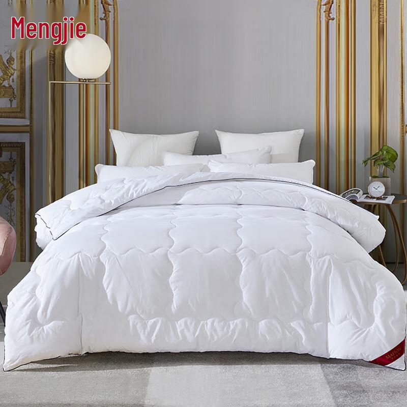 

Mengjie All-Season Feather Velvet Quilt