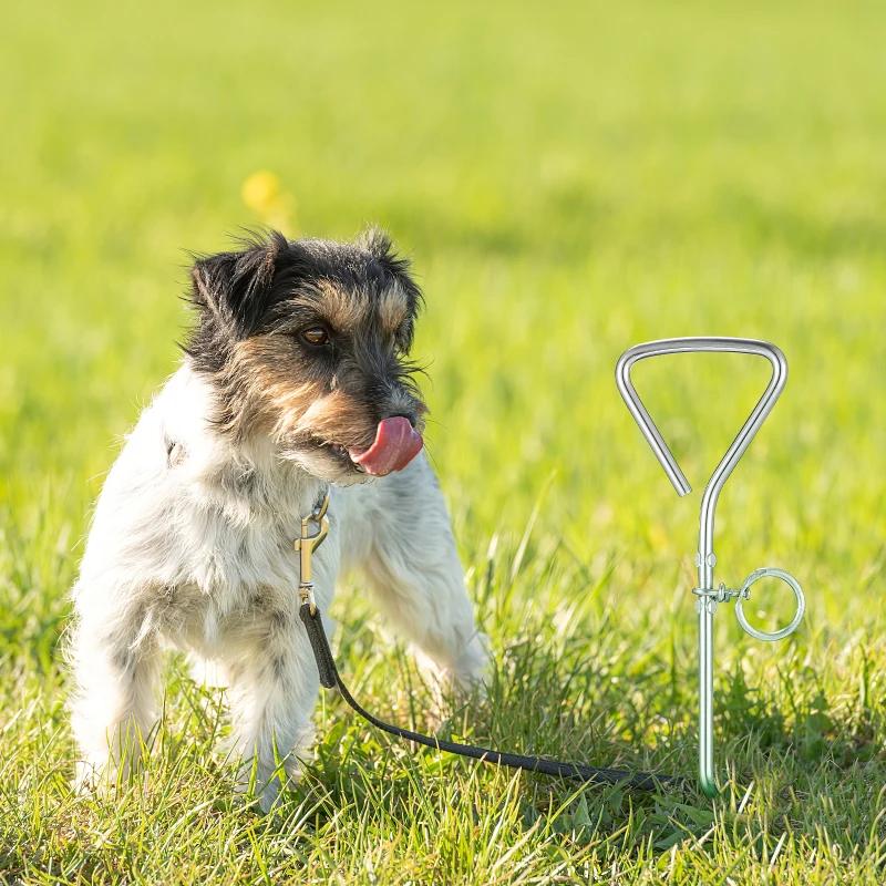 Dog Tie Stake Out Large Dogs Stakes Fixed Pile Ground Leash Iron Cable Heavy Duty