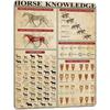 Vintage Horse Infographic Metal Sign Home Kitchen Decor Wall Art