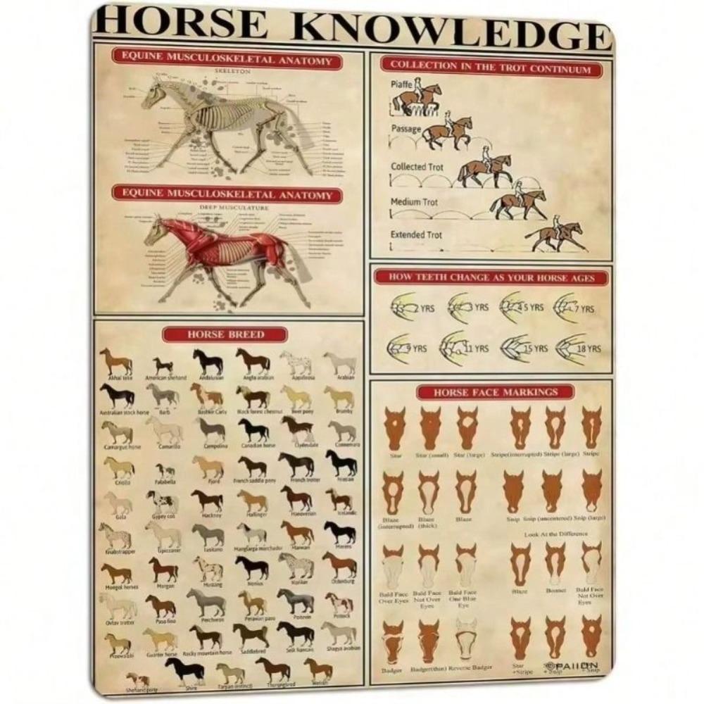 Vintage Horse Infographic Metal Sign Home Kitchen Decor Wall Art