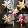 Colorful Laser Pinwheel Hair Clip - Perfect for Kids' Events and Gifts