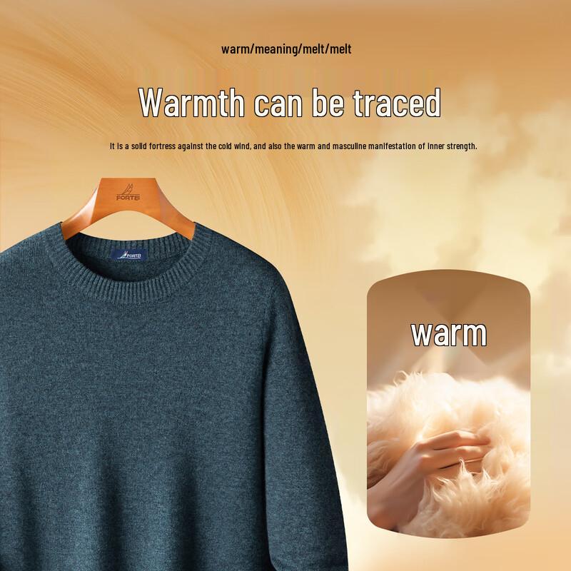 Futing Men's 100% Sheep Wool Warm Crew Neck Sweater