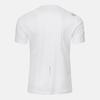 DESCENTE Quick-Dry Short Sleeve T-Shirt White Sr323Rts77 (A Type)