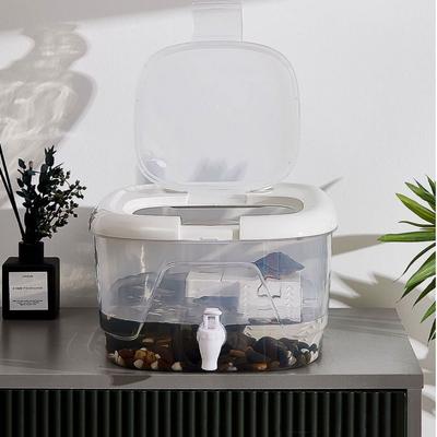 Reptiler – Terrarium