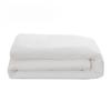 JingJingRS White Warm Cotton Mattress