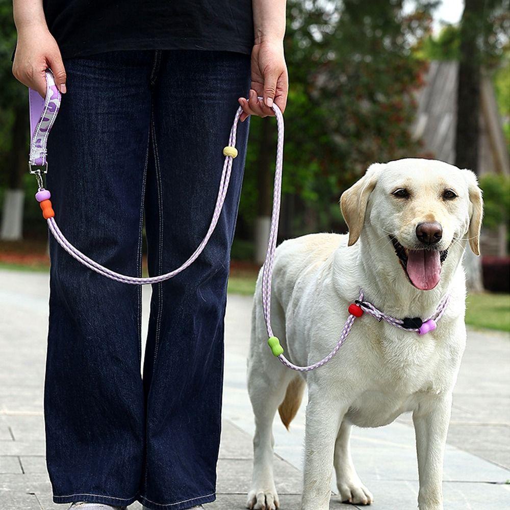 Anti-Pull Dog Harness and Leash Adjustable P Chain Leash Dog Collar Leash  Daily Use