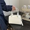 New 2026 Casual Handbag, Stylish and Versatile Large Capacity Shoulder Bag, Ctrasting Light Luxury Crossbody Bags