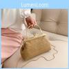 Stylish Soft Pu Lined Woven Handbag For Women Ideal For Everyday Use And Fashion