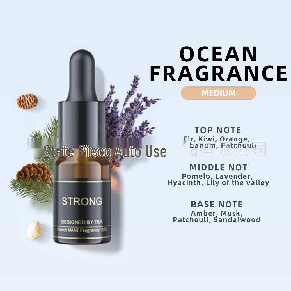 Car Air Freshener Set: Aromatherapy Essential Oils In Three Scents - Flower, Ocean, and Cologne