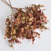75cm Artificial Eucalyptus Leaves Greenery Artificial Plants New Home Decoration  Photography Props