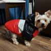 Otoño Invierno sudaderas con capucha para mascotas ropa para perros impermeable abrigo para perros chaqueta cálida a prueba de viento ropa para cachorros ropa para mascotas Chihuahua ropa para Bulldog Francés