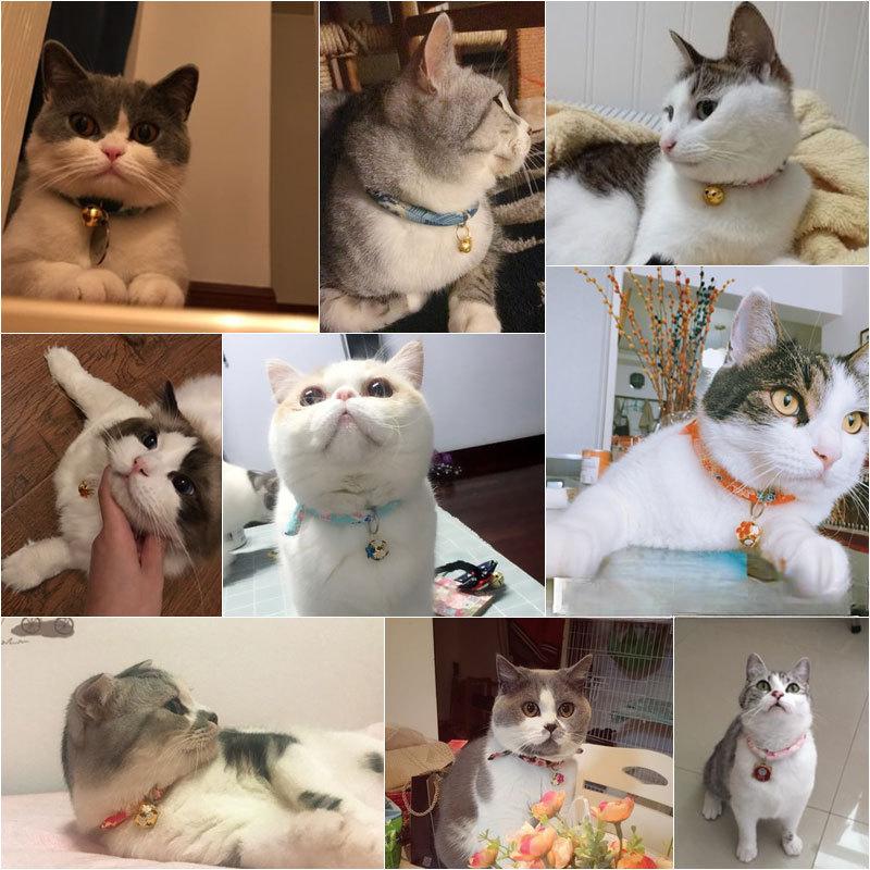 Niedliche Katze im japanischen Stil Mehrfarbig Mehrstil Halsband Katzenglocke Katzenhalsband Selbsteinstellend Haustierbedarf