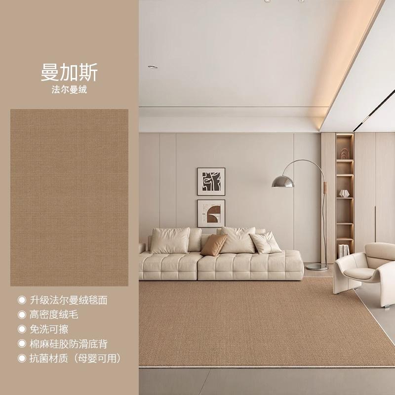 Large Living Room Carpet Washable Waterproof Minimalist Luxury Home Rug for Sofa Bedroom
