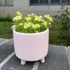 1 Cute Cartoon Piggy-shaped Flower Pot, Creative Cute Resin Animal Statue, Home Garden Decoration
