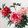 Silk Peony Bouquet - Artificial Floral Arrangement for Home Decor & Photo Props