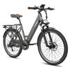 FAFREES F26 Pro City Commuting Electric Bicycle With TowSeat 36V15Ah Battery 250W Motor 26 Inch City Tires 120KG Load E-Bike For Adult