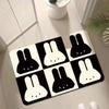 Diatom mud mat toilet water absorption anti-skid dry anti-skid