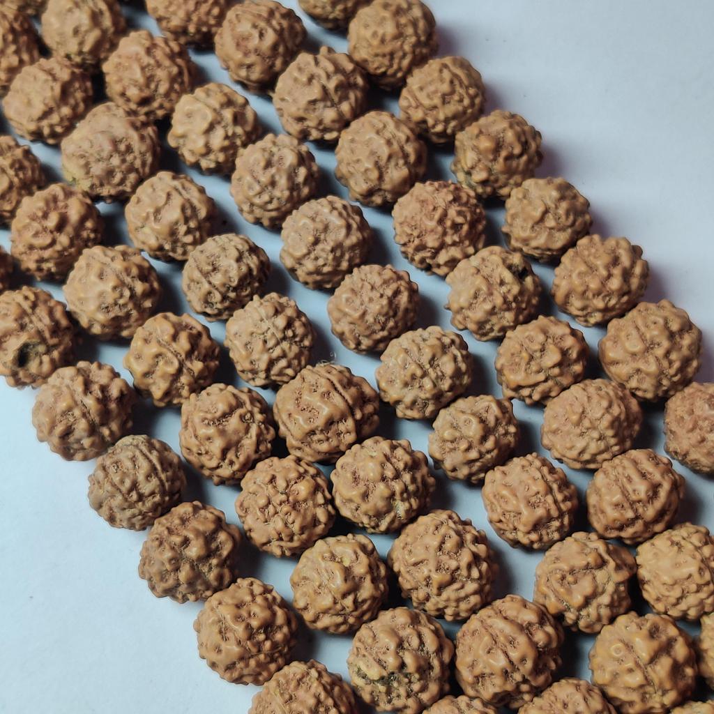 Korálky Rudraksha, 6 mm Korálky velikosti 8 mm, 10 mm, originální přírodní korálky Rudraksha, volné korálky Rudraksh, korálky 14-15 palců.