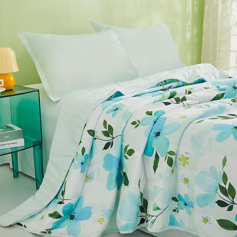 

Hengyuanxiang Antibacterial Soft Summer Quilt