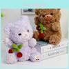 Cherry Bear Stuffed Animal With Pp Cotton Filling For Gift And Home Decor