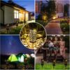 Solar-Powered Waterproof Garden Stake Lights