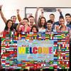 World Flag Banner International World Flags Banner Country Flags Banner Backdrop Decoration with Brass Grommets Party Supplies Sports Events Bar