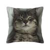 Tabby Cat Pillow Cover Print Cushion Cover Vintage Pillow Case For Sofa Bedroom Home Decor