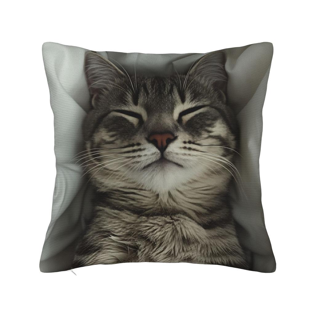 Tabby Cat Pillow Cover Print Cushion Cover Vintage Pillow Case For Sofa Bedroom Home Decor
