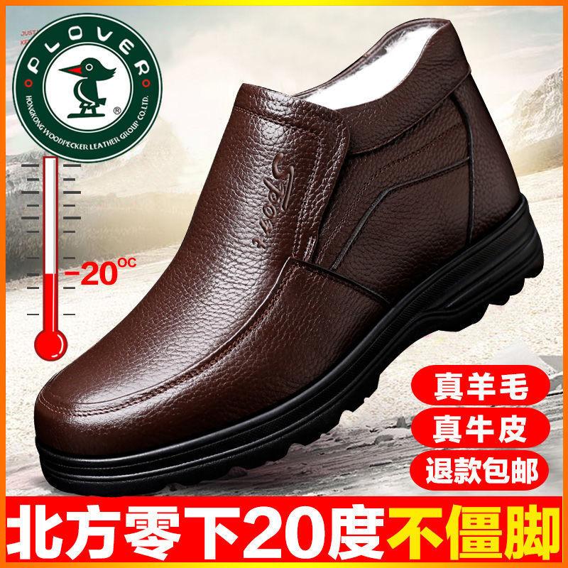 Autumn and Winter Genuine Leather Wool Cotton Shoes Men's Velvet Thickened Warm