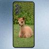 Kawaii Alpaca Lovely Phone Case For Samsung S25,S24,S21,S22,S23,S30,Ultra,S20,Plus,Fe,Lite,Note,10,9,5G Black Cover