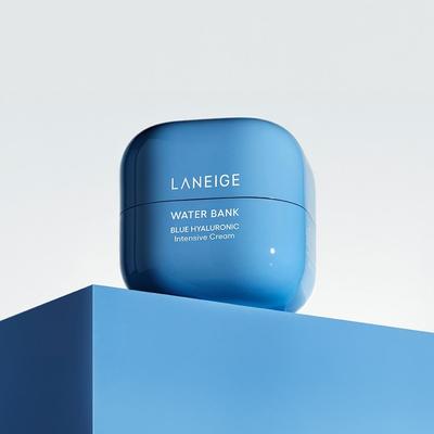 Water Bank Blue Hyaluronic Intensive Cream 50ml