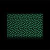 Tiny Skull Glow-in-the-Dark Pouch (Large)