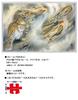 Yanoman jigsaw Fierce Tiger and Dragon 1000-piece puzzle, (50x75cm), 10-1311