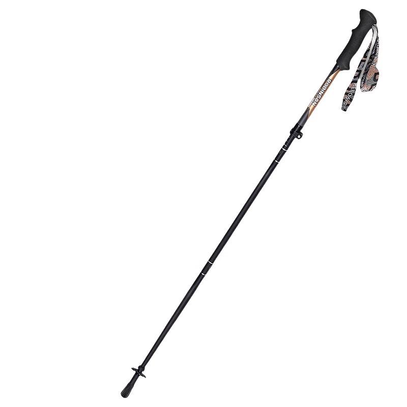 Robinson Carbon Folding Trekking Pole
