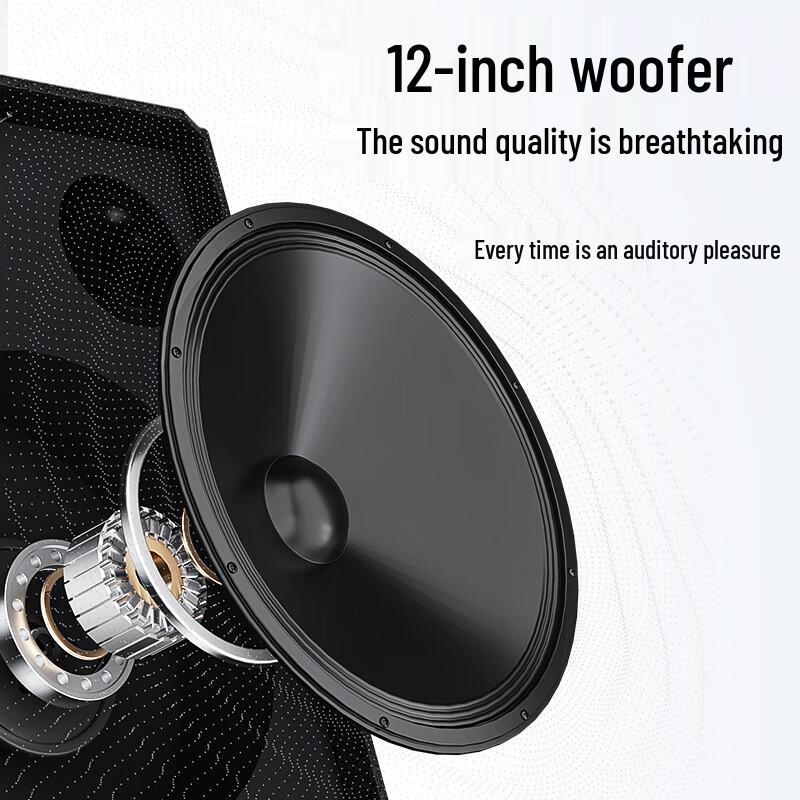 Newsmy N537 12-inch Portable KTV Bluetooth Speaker CN plug (adapter included)