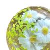 1/2/4Pcs Shapeable Coconut Oil Squeeze Ball Stress Relief Clear Ice Cube Toy Slow Rising Focus Aid Anti-anxiety Sensory Toy
