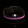 LED Dog Leash (S/Rainbow)