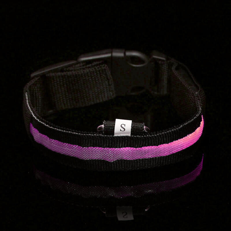 LED Dog Leash (S/Rainbow)