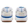 Nike SB Ishod Wair Summit White Skateboard Shoes DC7232-100