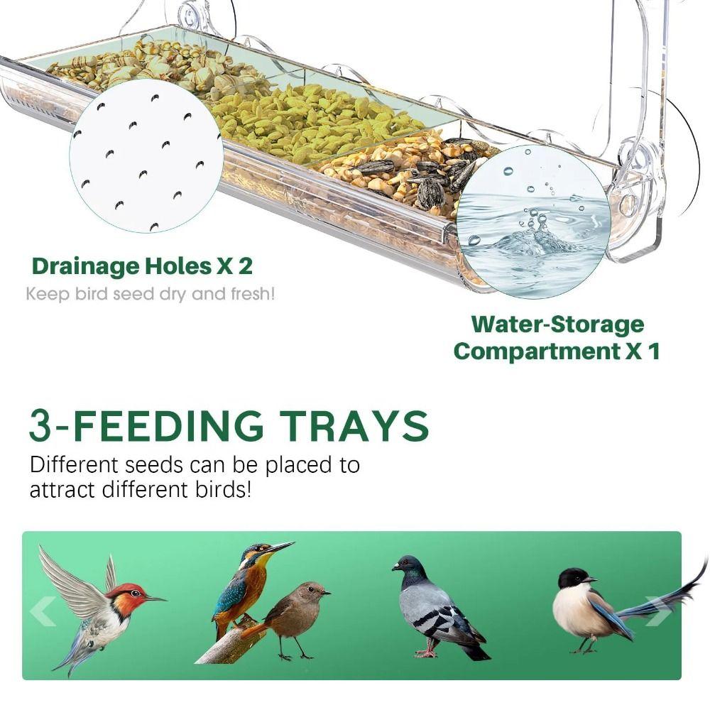 Clear Window Bird Feeder Drainage Hole Bird Food Container Transparent Bird House Bird Supplies