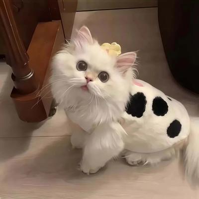 Cat Clothes Fashion Puppy Vest Cow Print Warm Fleece Teddy Bear Coat Warm Thickened Cat Clothes Pet Supplies