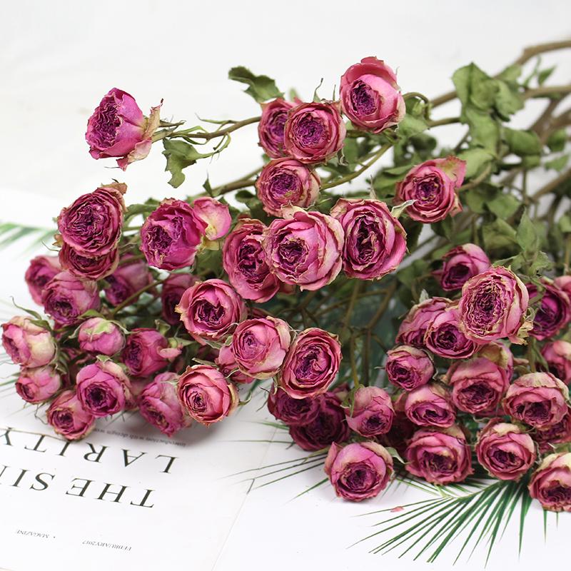 Small Dried Rose Buds for DIY Flower Arrangements and Home Decor