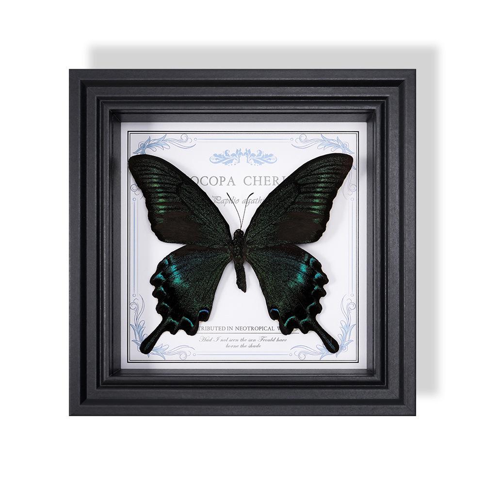 Wall-Mounted Butterfly Specimen Photo Frame: Home Decor & Gift for Valentine's Day, Qixi, Birthday, Couples & Insect Lovers