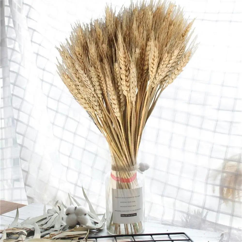 50pcs Natural Dry Wheat Spikes DIY Craft Dried Flowers Dried Wheat Stalks  Home Kitchen Decoration