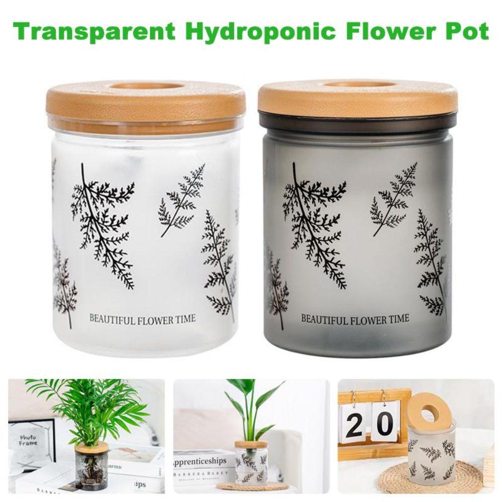 Transparent Hydroponic Flower Pot Wooden Style Lid Plastic Flower Pot New Plant Vase Nordic Style