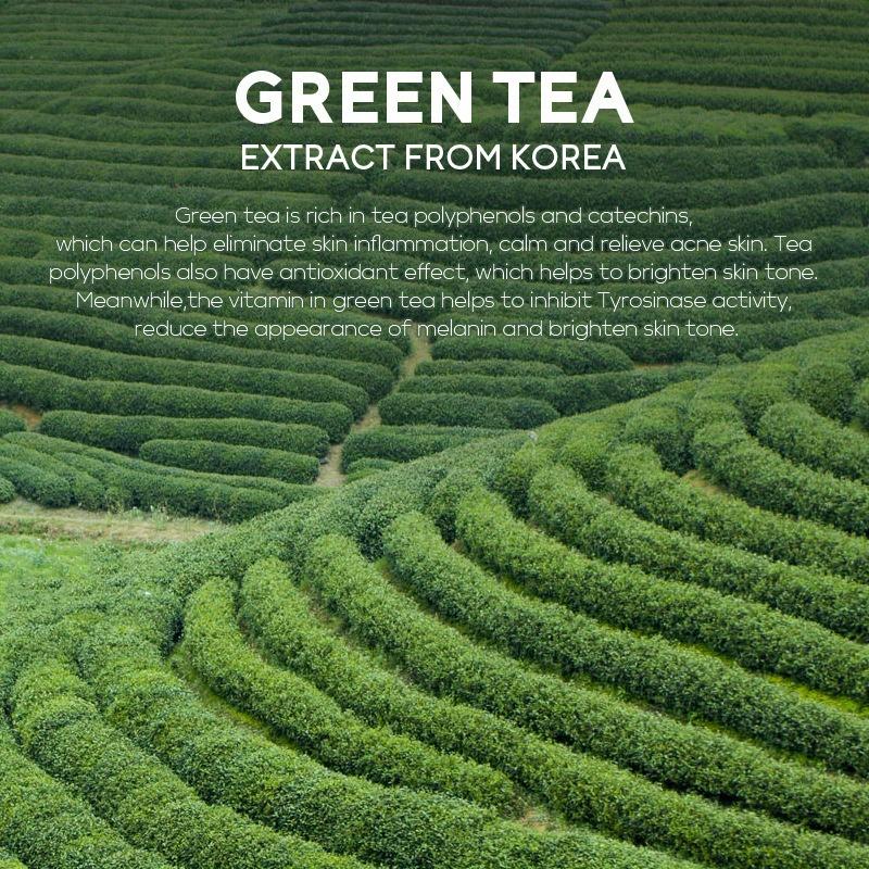 5 g * 7 Stück Grüntee-Gesichtsschlamm-Maske, mild und sauber, Ölkontrolle, feuchtigkeitsspendende und straffende Schlamm-Gesichtsmaske